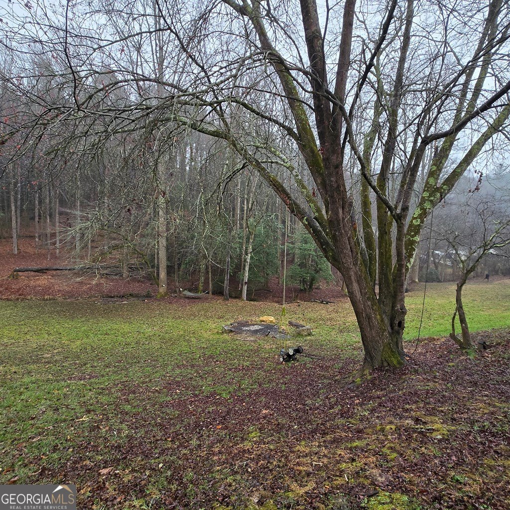 5134 Boardtown Road Ellijay - Photo 8