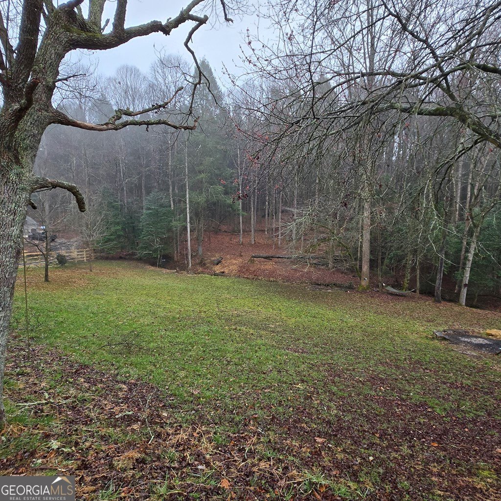 5134 Boardtown Road Ellijay - Photo 9