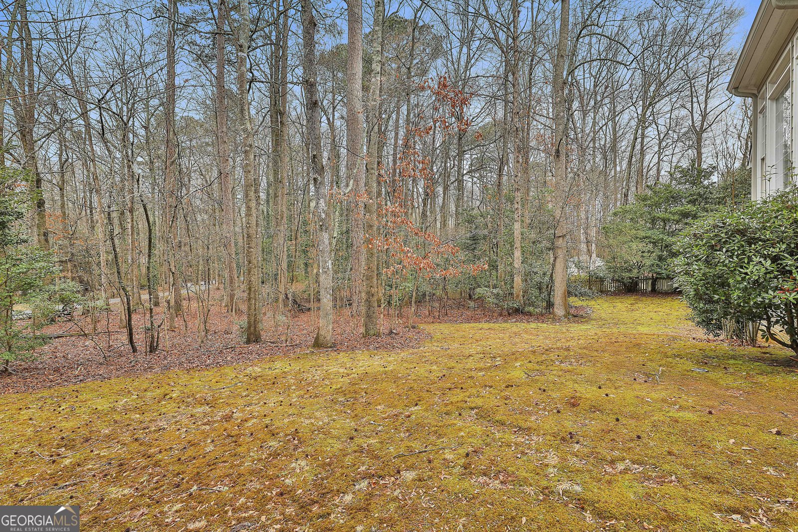 38 Parkgate Lane Peachtree City - Photo 51