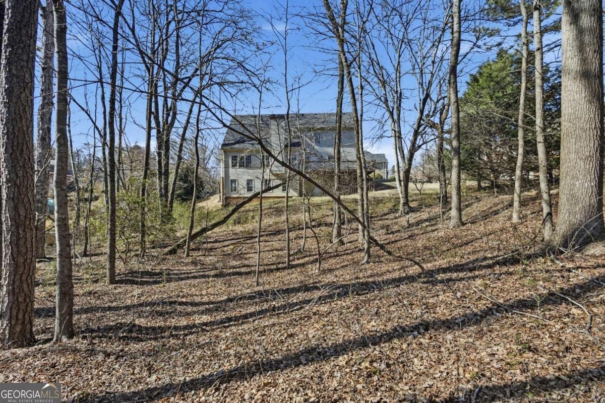 3805 Jones Creek Drive Buford - Photo 47