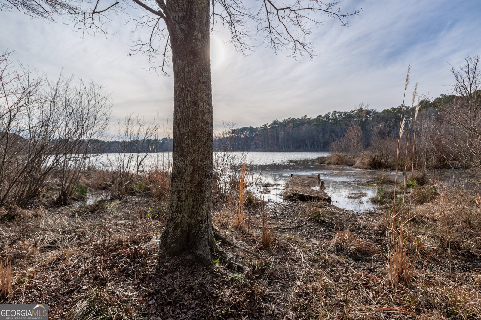 436 Forrest Avenue Fayetteville - Photo 61