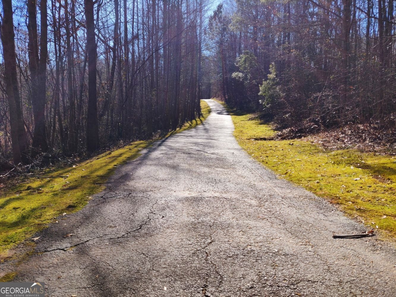 136 Baldwin Court Newnan - Photo 39