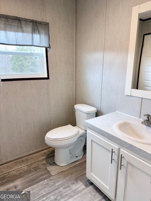 683 Evergreen Church Road Cobbtown - Photo 19