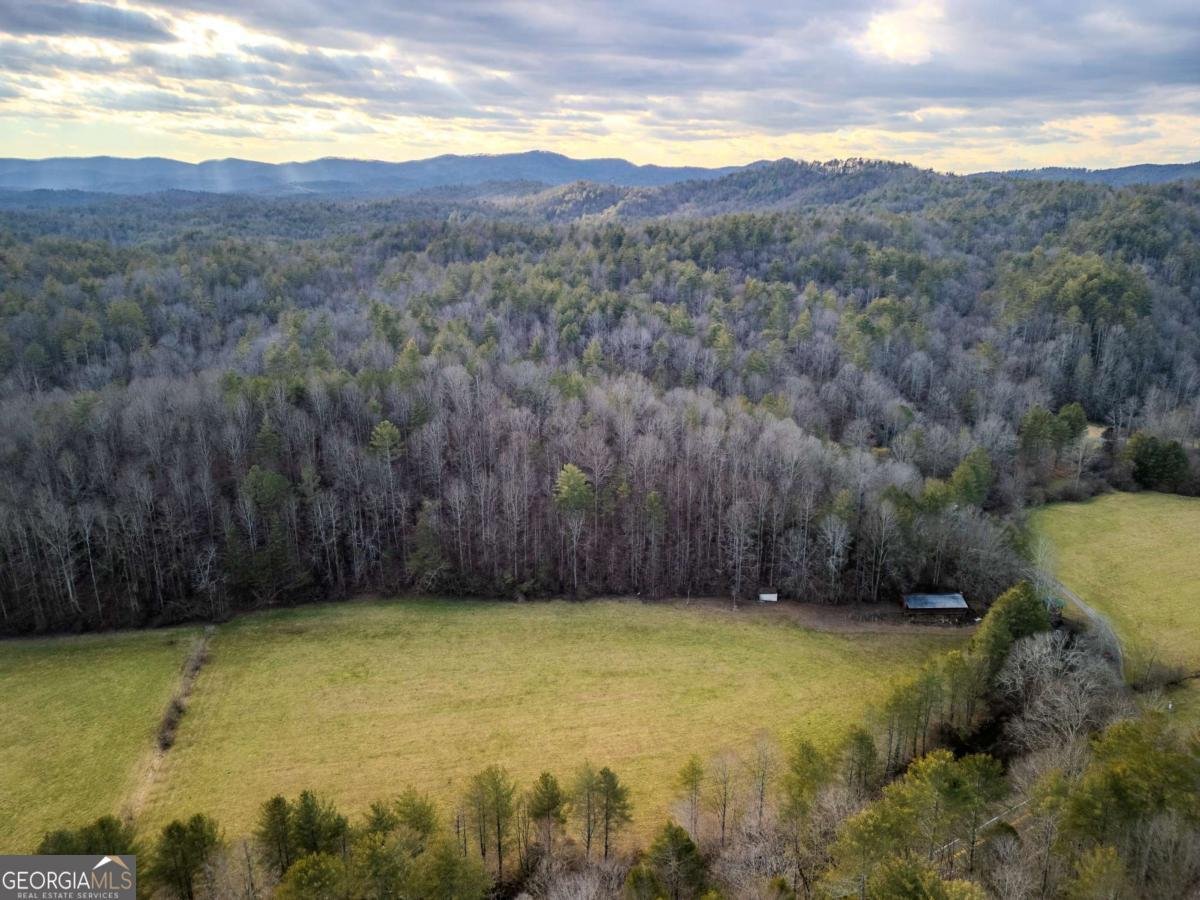 3771 Gates Chapel Road Ellijay - Photo 11