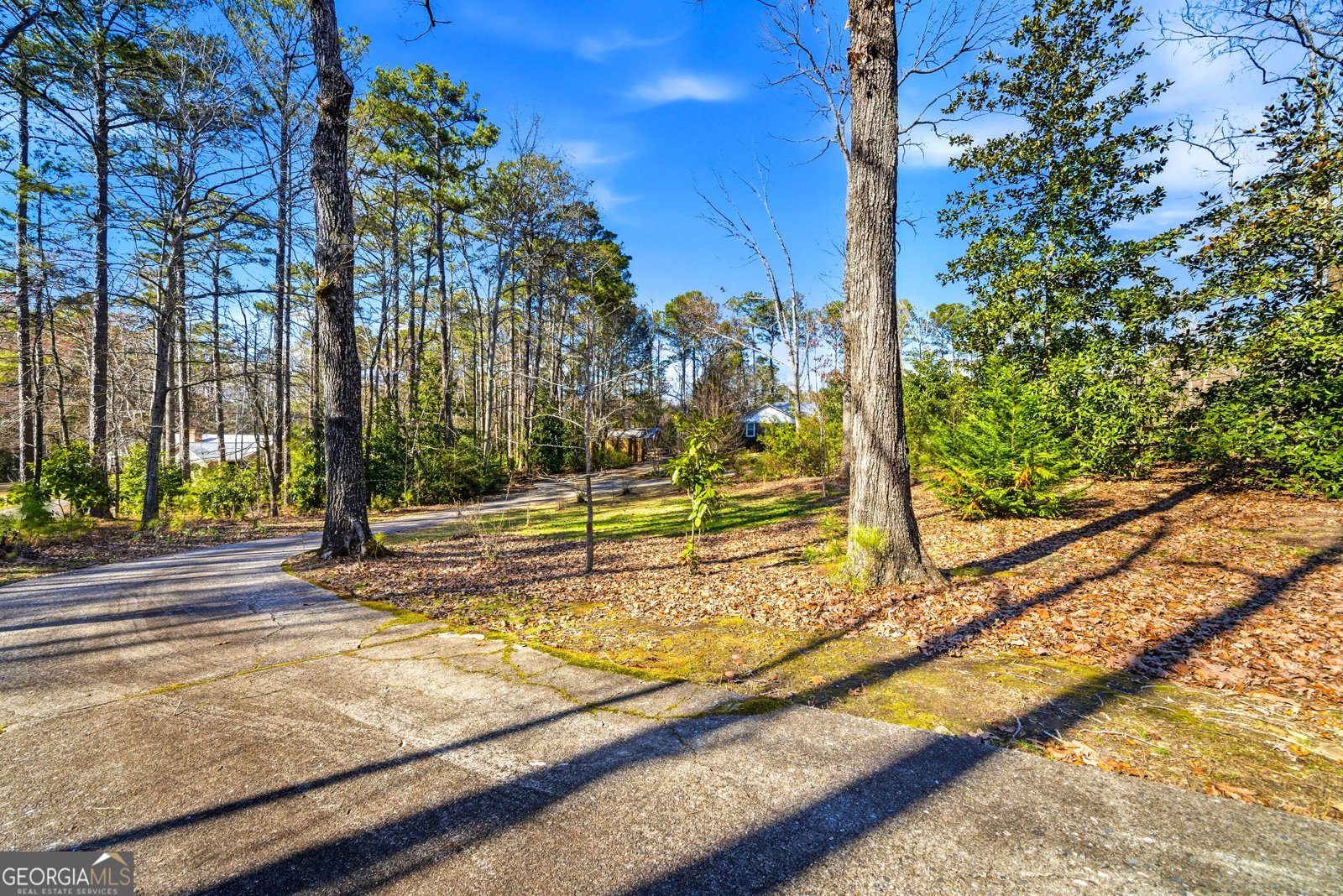 114 Sourwood Drive Pine Mountain - Photo 6