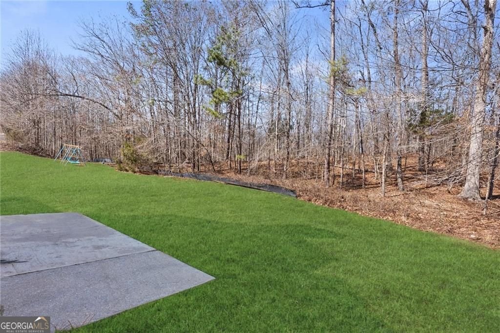 4894 Michael Jay Street Snellville - Photo 46