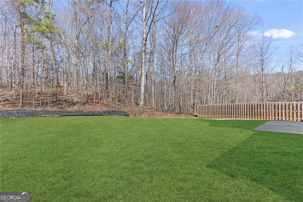 4894 Michael Jay Street Snellville - Photo 49