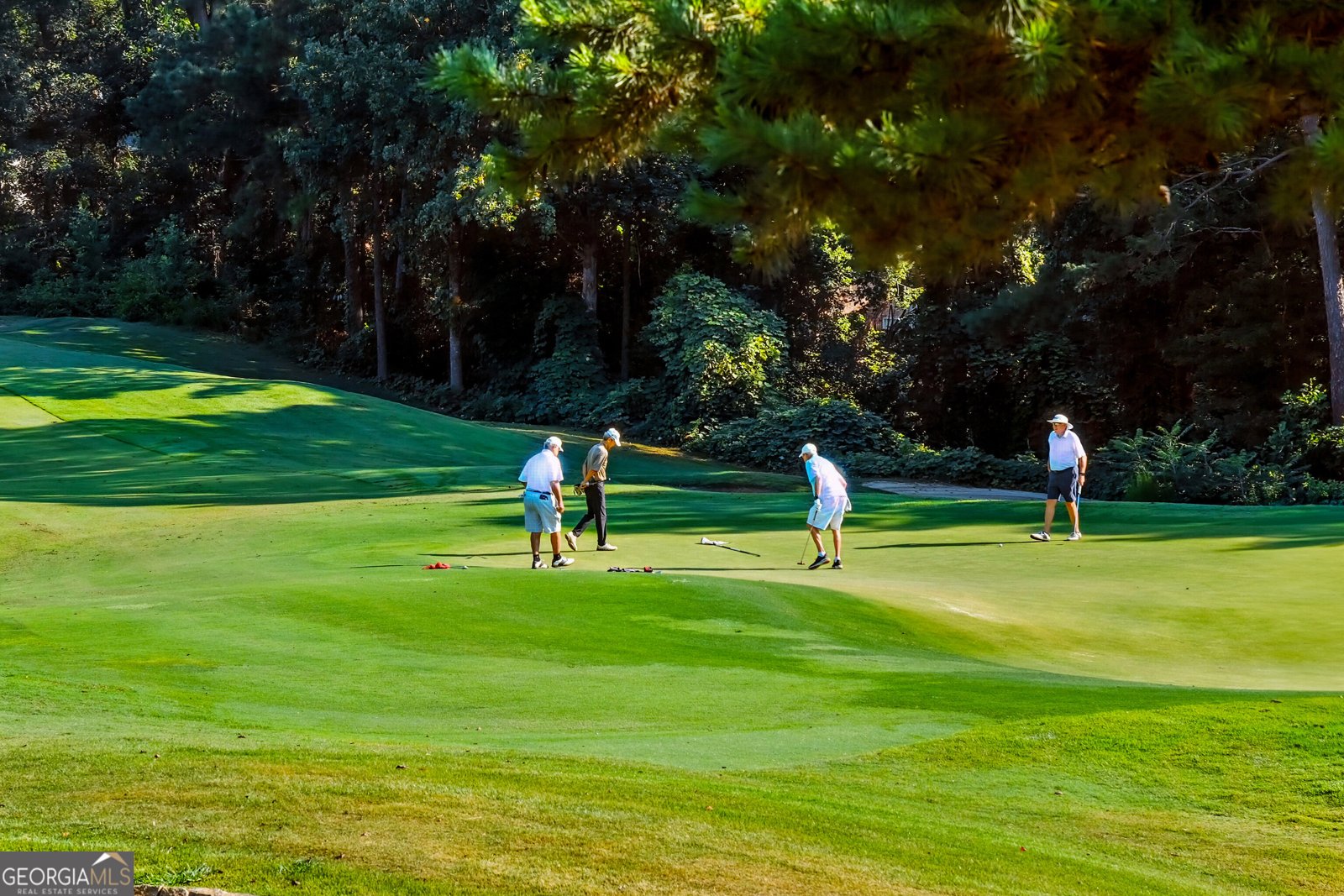 3925 Greenside Court Dacula - Photo 7