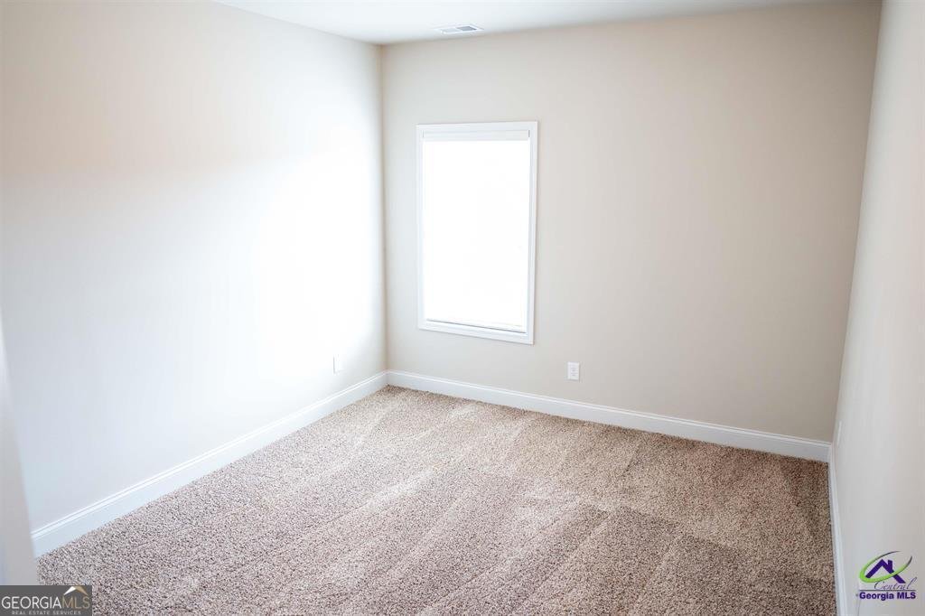 122 Bluecoat Trail Byron - Photo 23