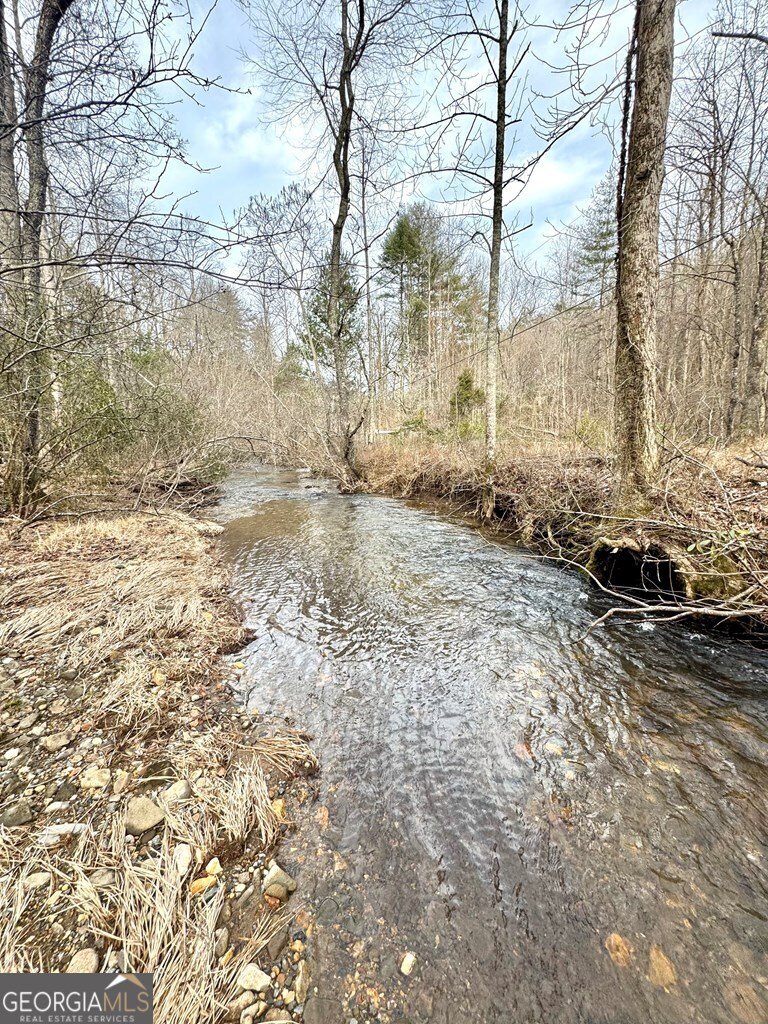 14092 Big Creek Road Cherry Log - Photo 23