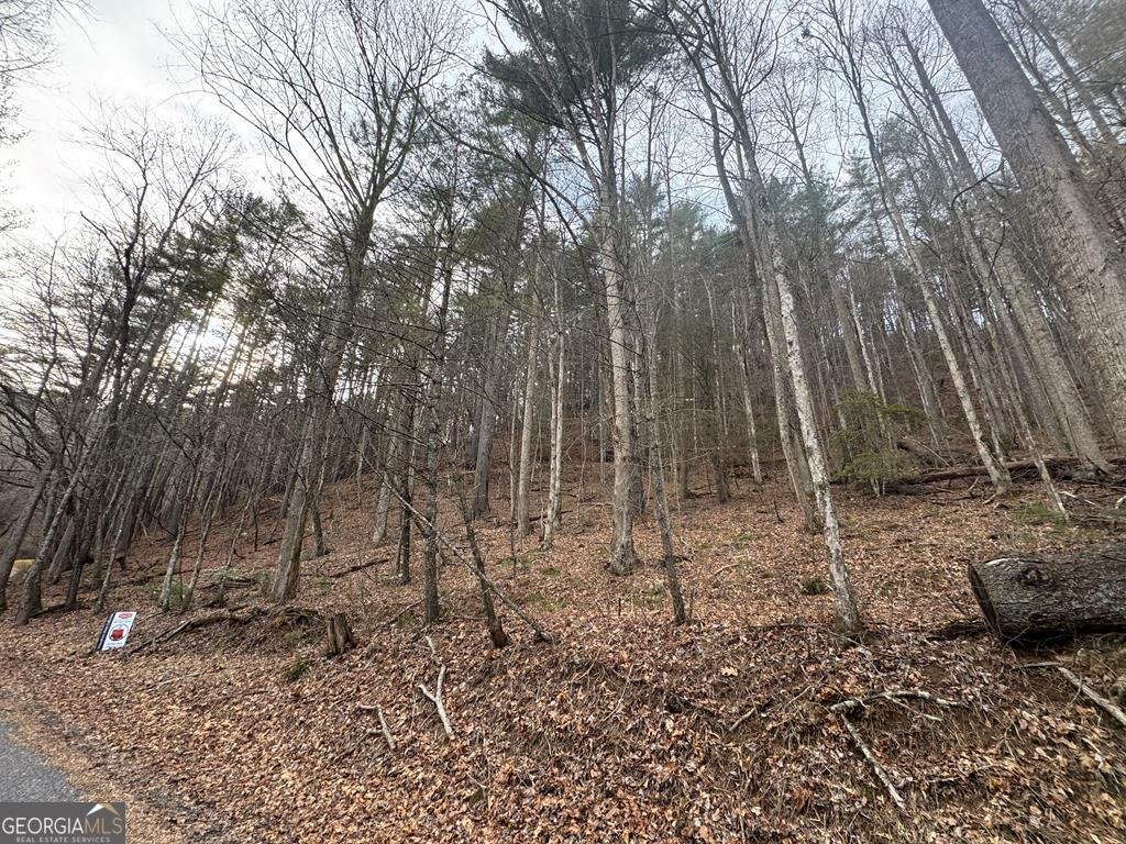 14092 Big Creek Road Cherry Log - Photo 25