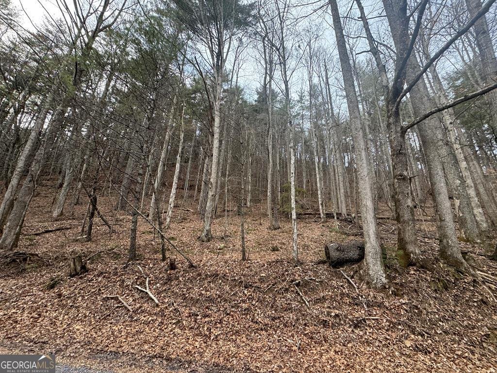 14092 Big Creek Road Cherry Log - Photo 35