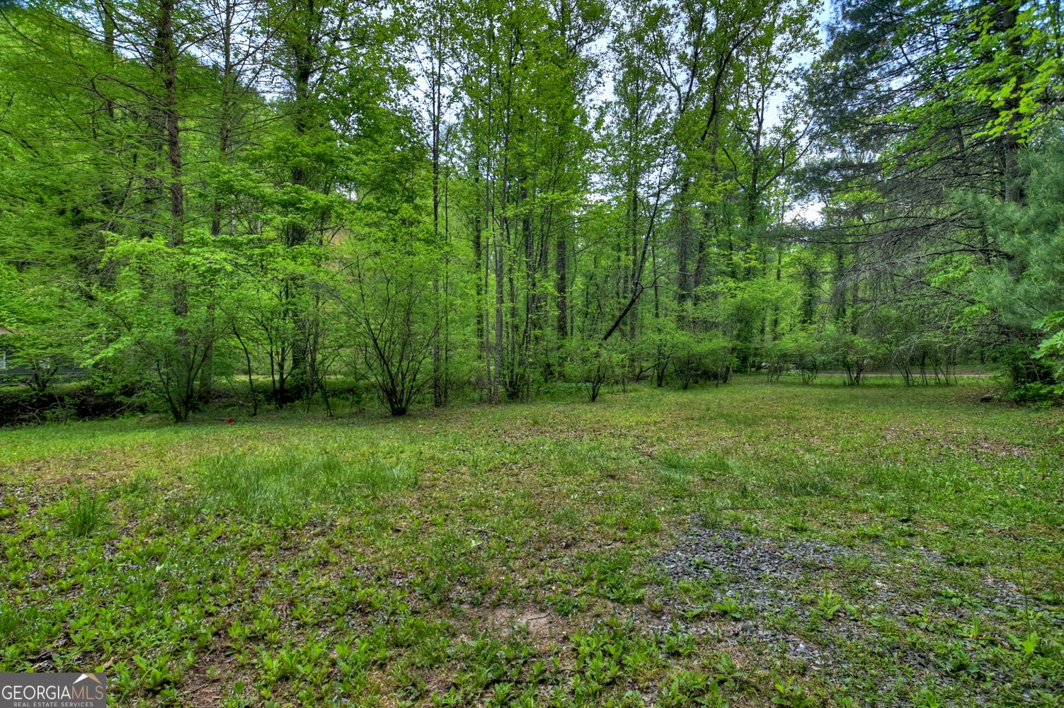 14092 Big Creek Road Cherry Log - Photo 39