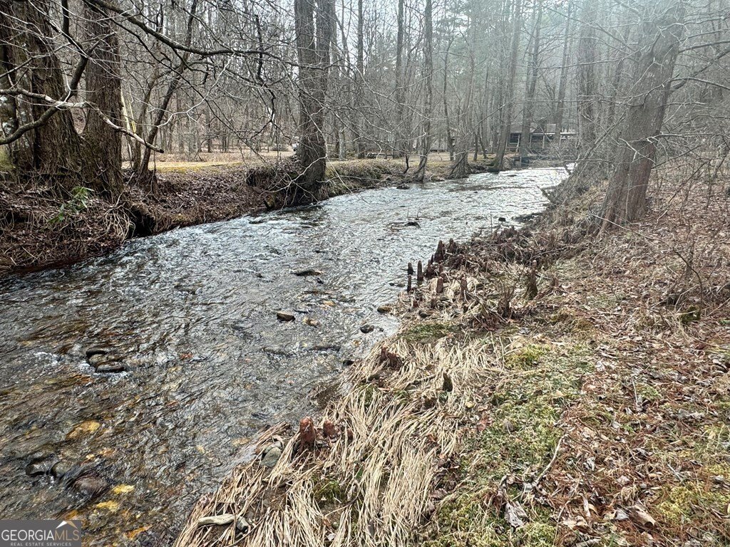 14092 Big Creek Road Cherry Log - Photo 8