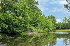 6655 Granite Gate Pass Cumming - Photo 69