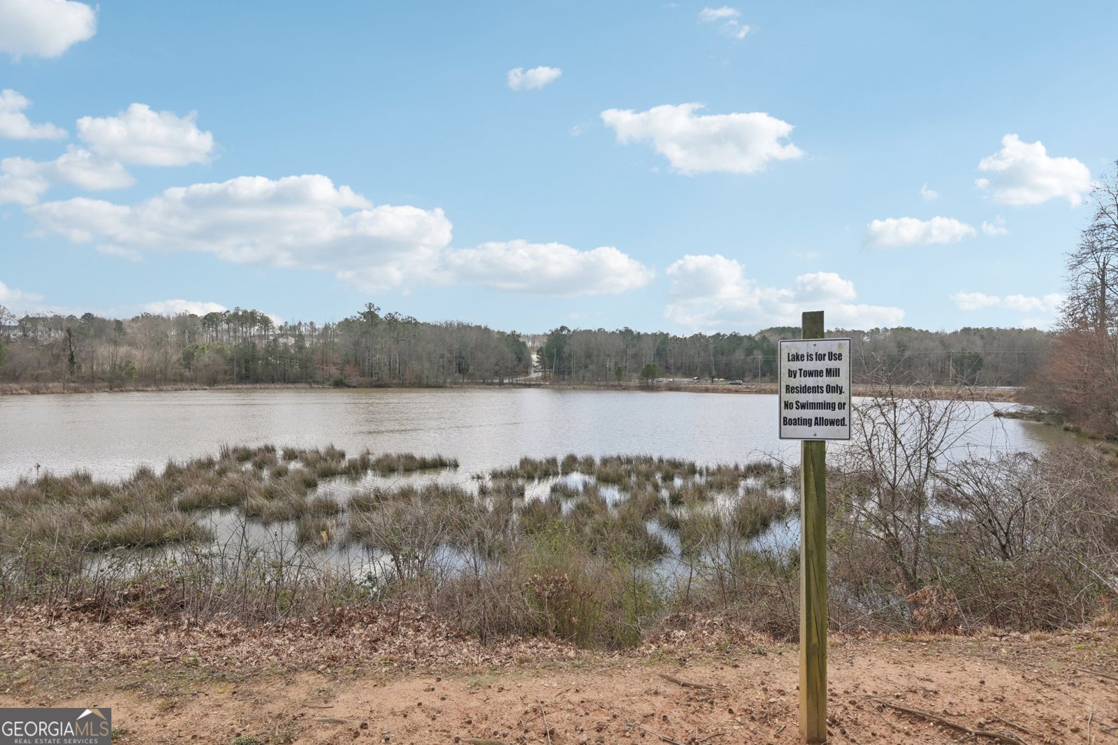 674 Valdosta Drive Canton - Photo 35