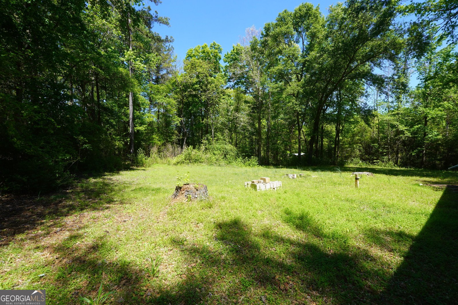 718 Mount Vernon Church Road Jackson - Photo 14