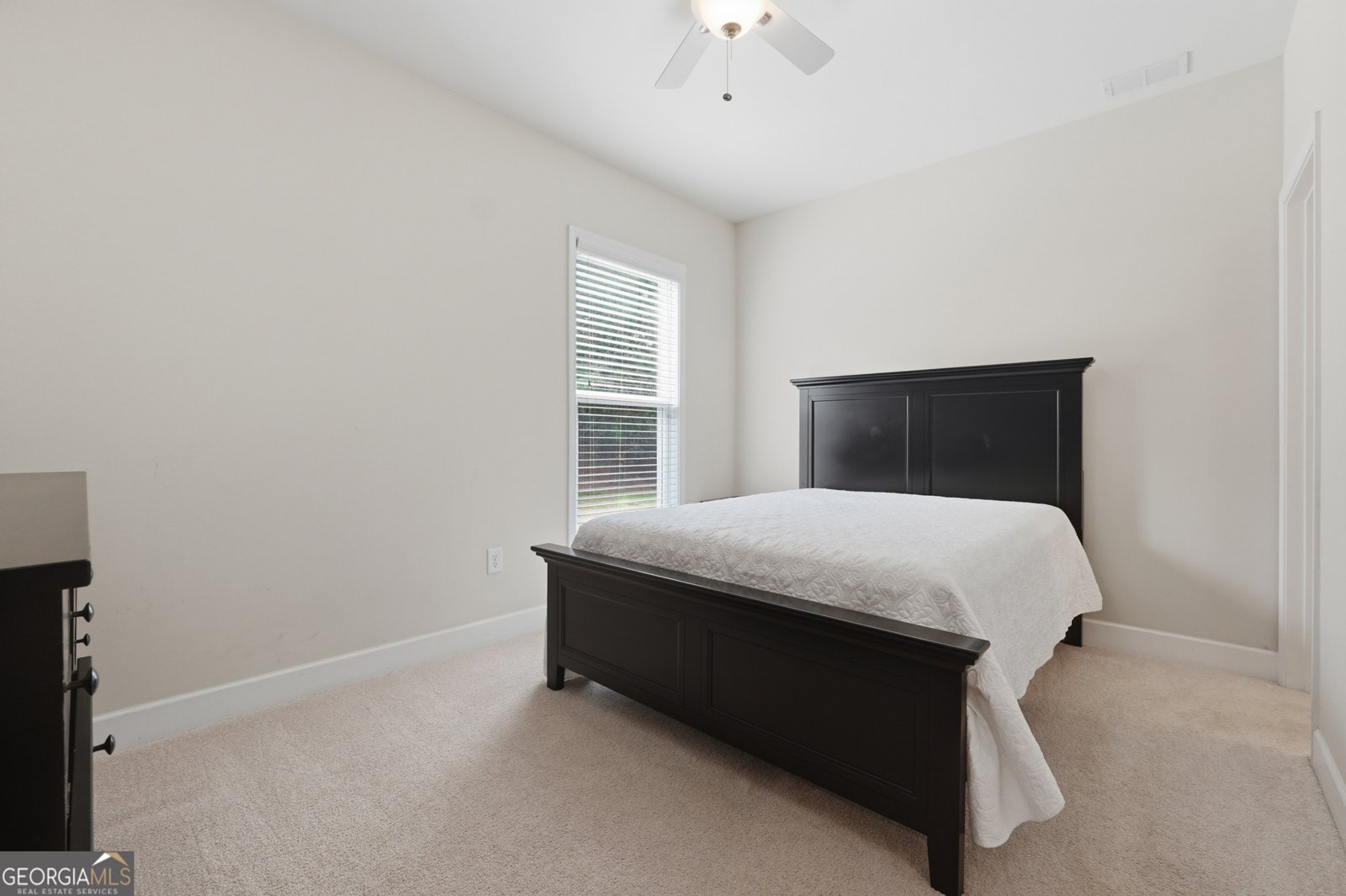 418 Spring View Drive Woodstock - Photo 18