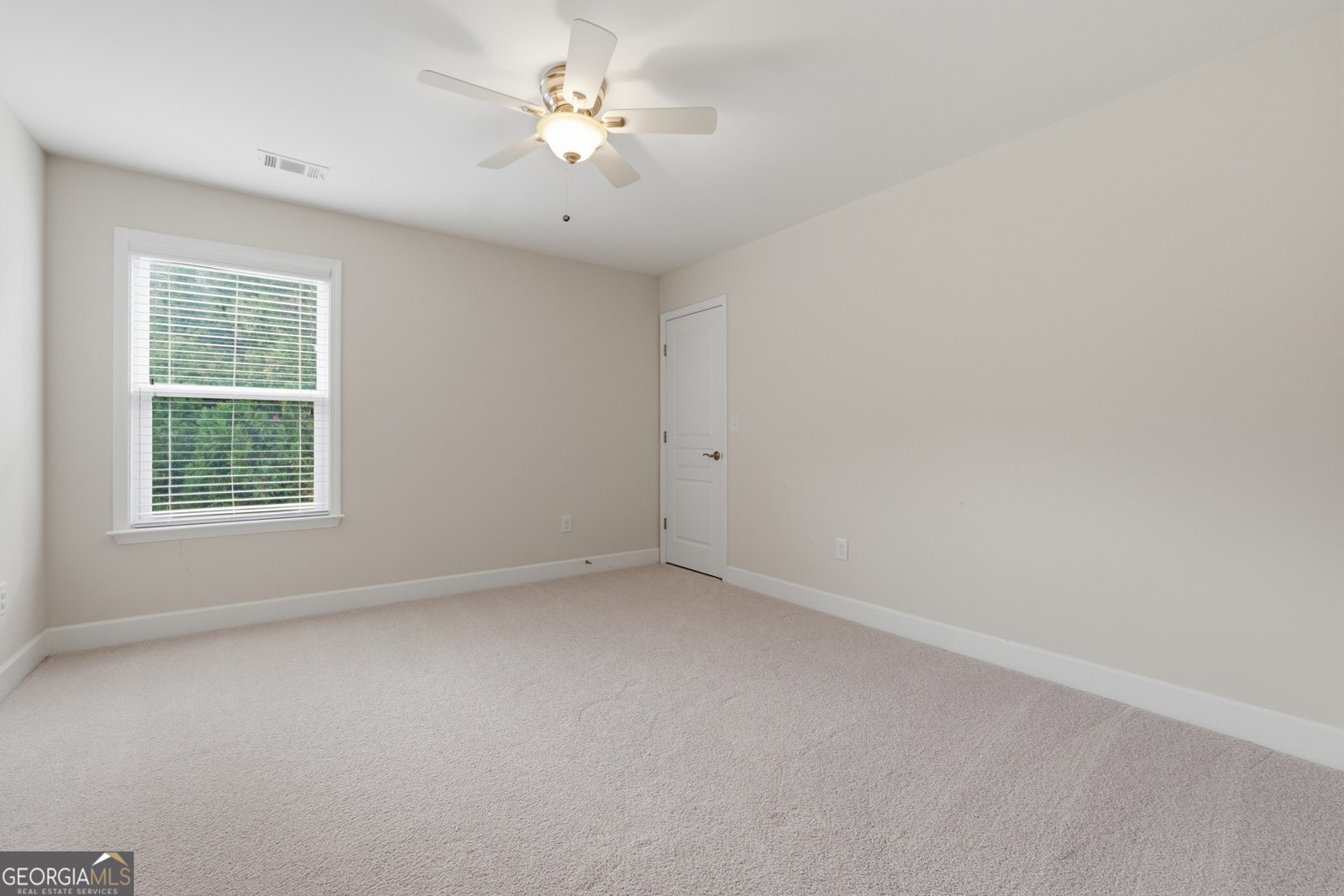 418 Spring View Drive Woodstock - Photo 22