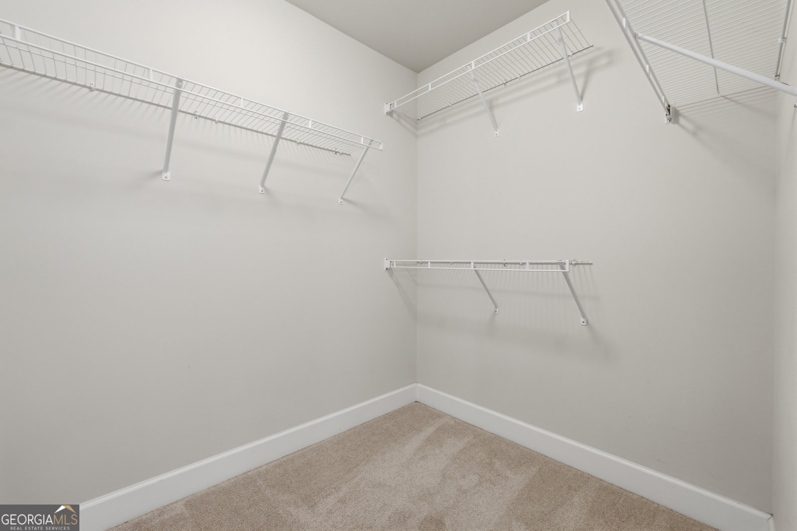 418 Spring View Drive Woodstock - Photo 32