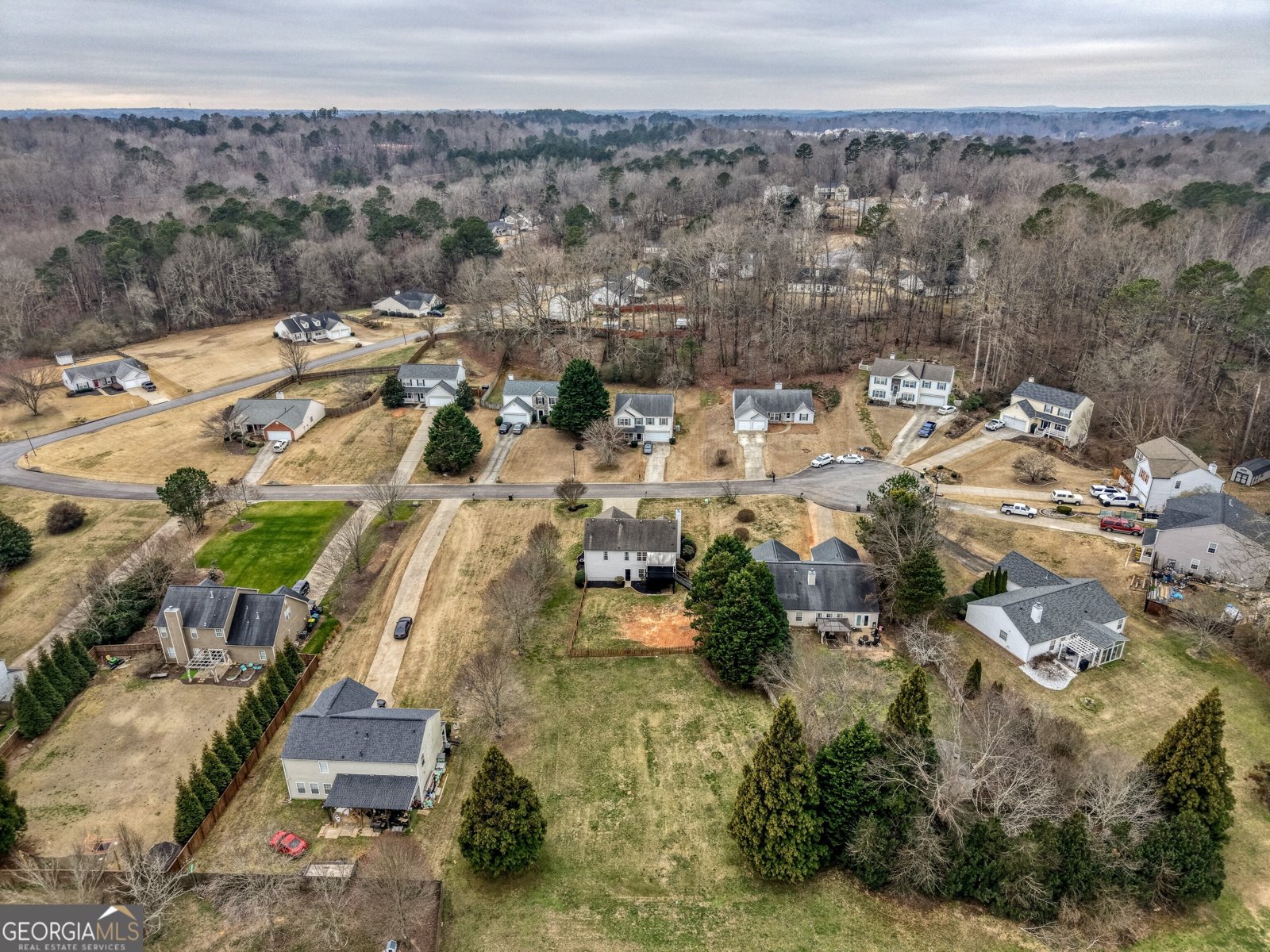 8440 River Bluff Place Ball Ground - Photo 69