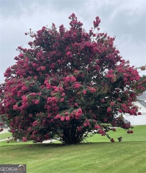 8440 River Bluff Place Ball Ground - Photo 78