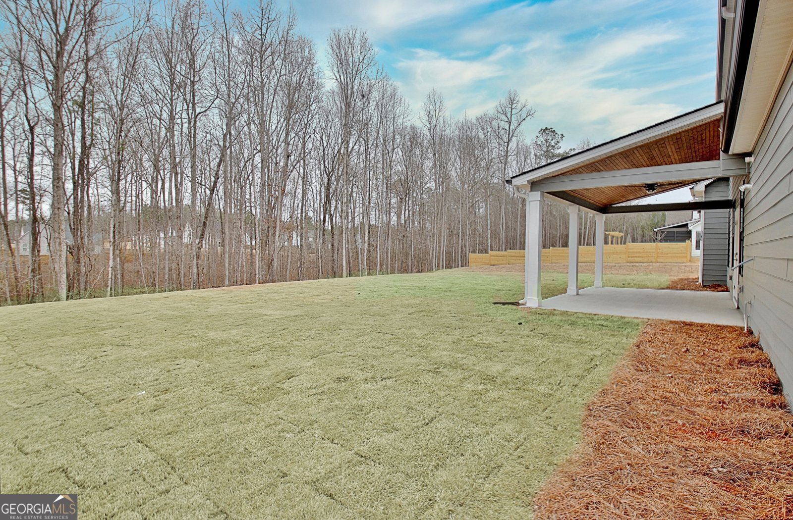 157 Ryeland Drive Senoia - Photo 71