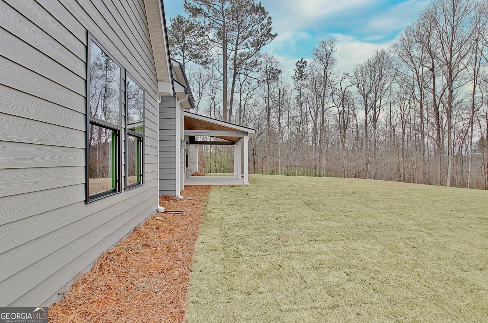 157 Ryeland Drive Senoia - Photo 75