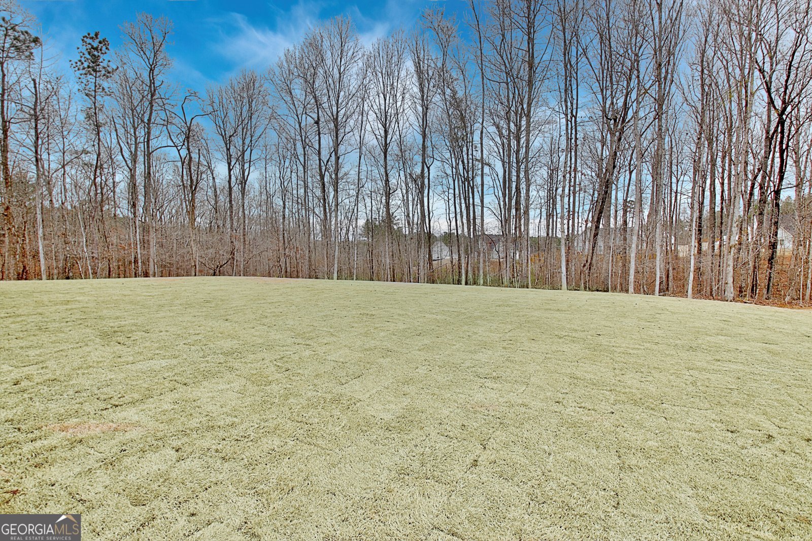 157 Ryeland Drive Senoia - Photo 76