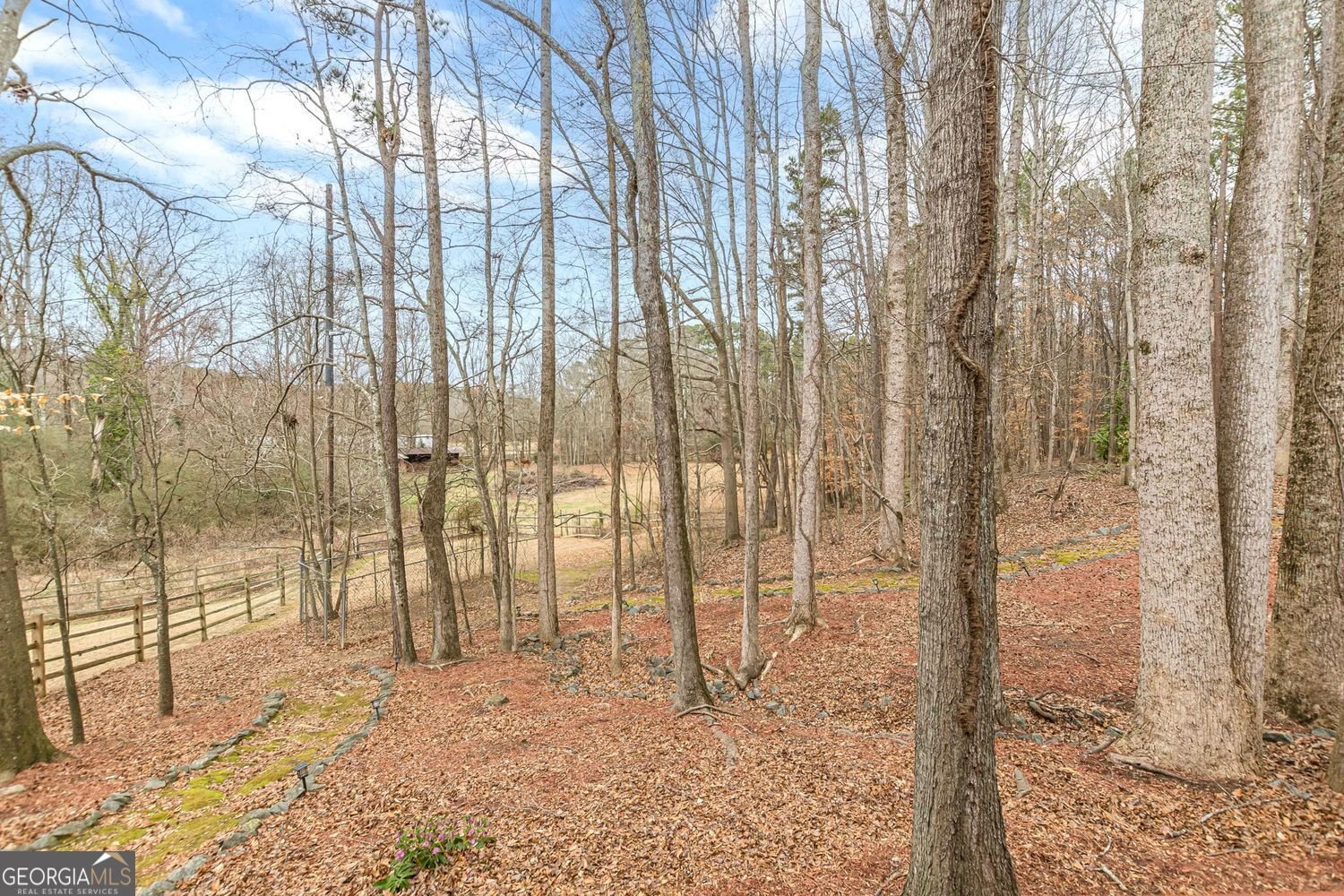 2981 Elberta Terrace Powder Springs - Photo 60