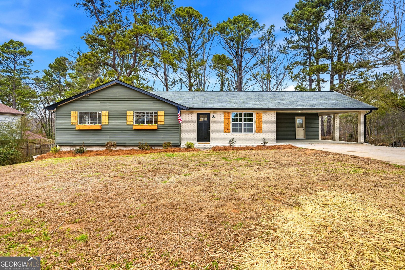 7258 Banks Mill Road Douglasville - Photo 1