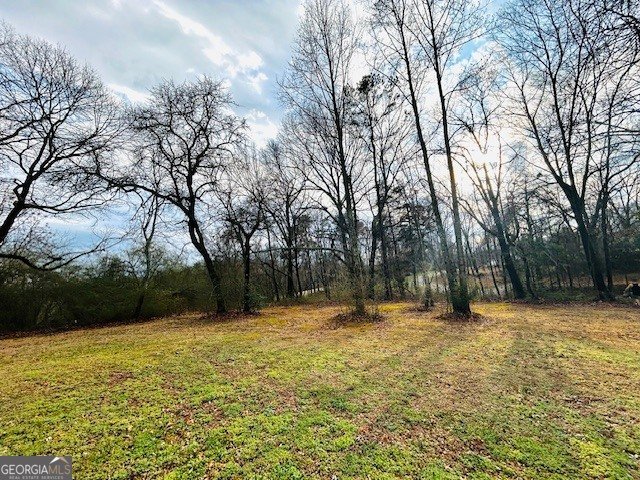 1982 Moccasin Gap Road Lula - Photo 11