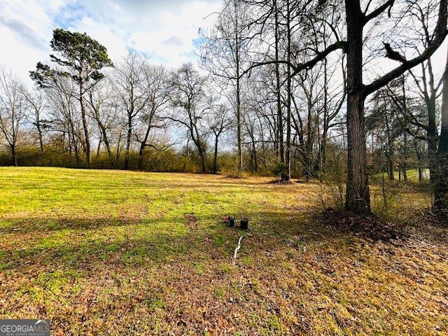 1982 Moccasin Gap Road Lula - Photo 13