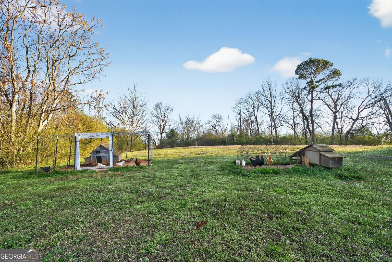 1982 Moccasin Gap Road Lula - Photo 48