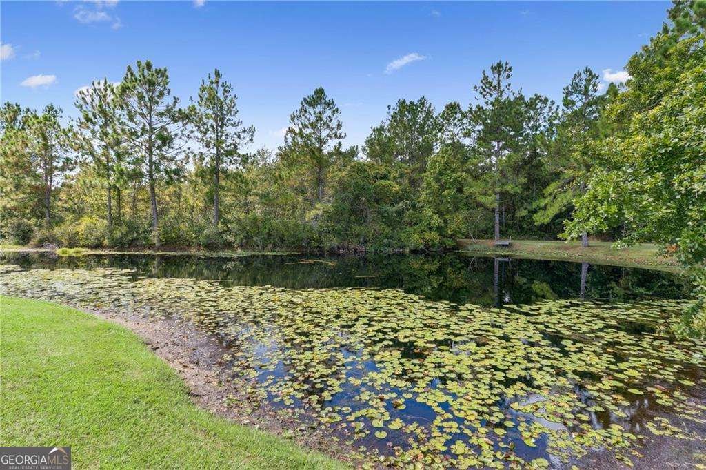 190 Lakes Drive Brunswick - Photo 33