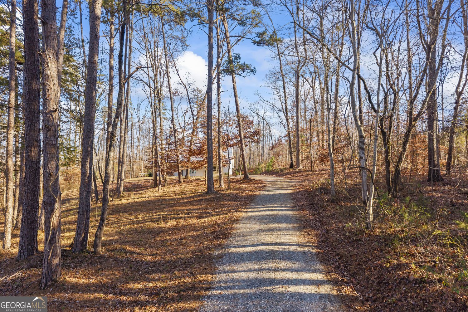 665 Holcomb Drive Martin - Photo 6