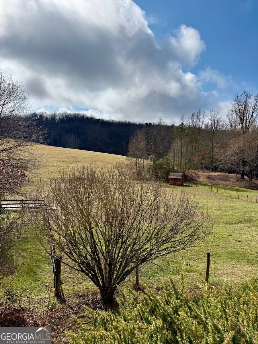 991 Adair Mill Road Cleveland - Photo 9