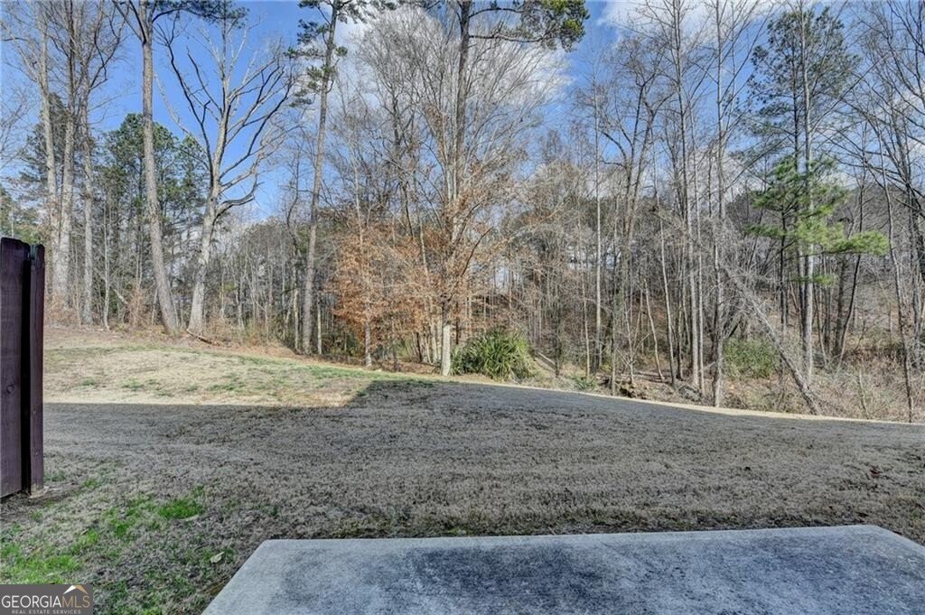 1049 Collections Drive Lawrenceville - Photo 41