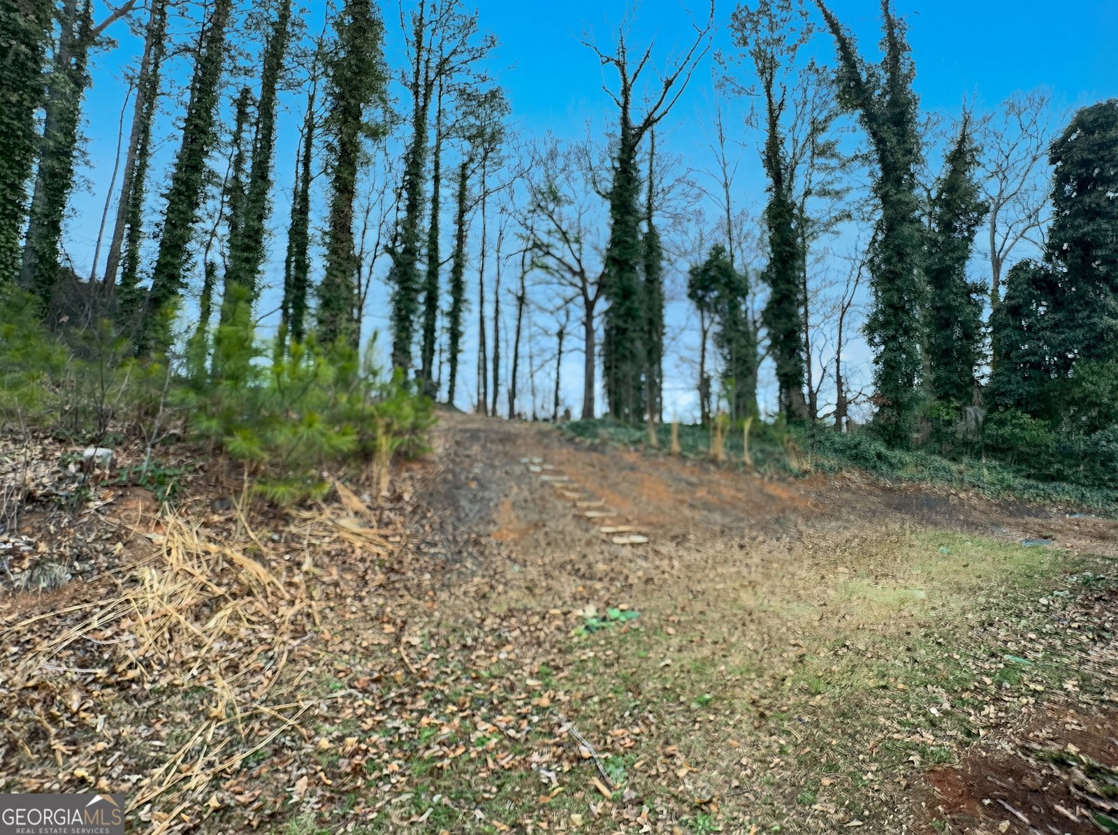 124 Creekview Drive Woodstock - Photo 12