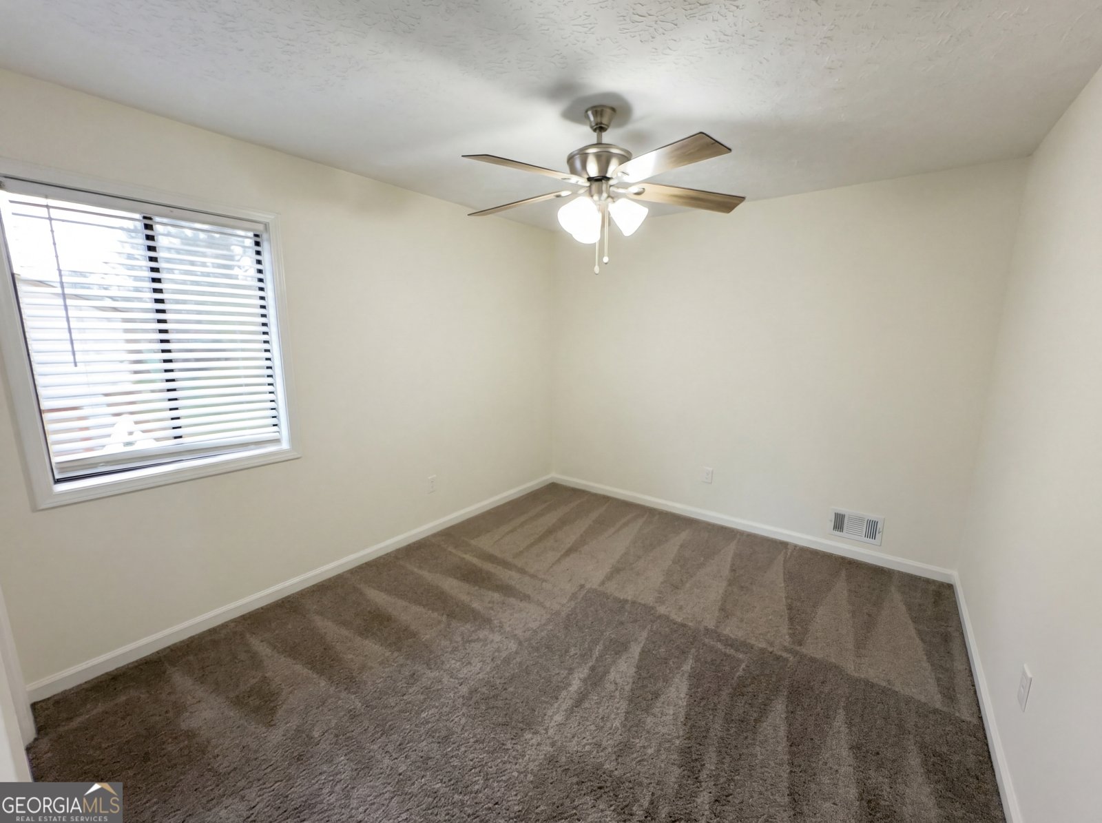 124 Creekview Drive Woodstock - Photo 15