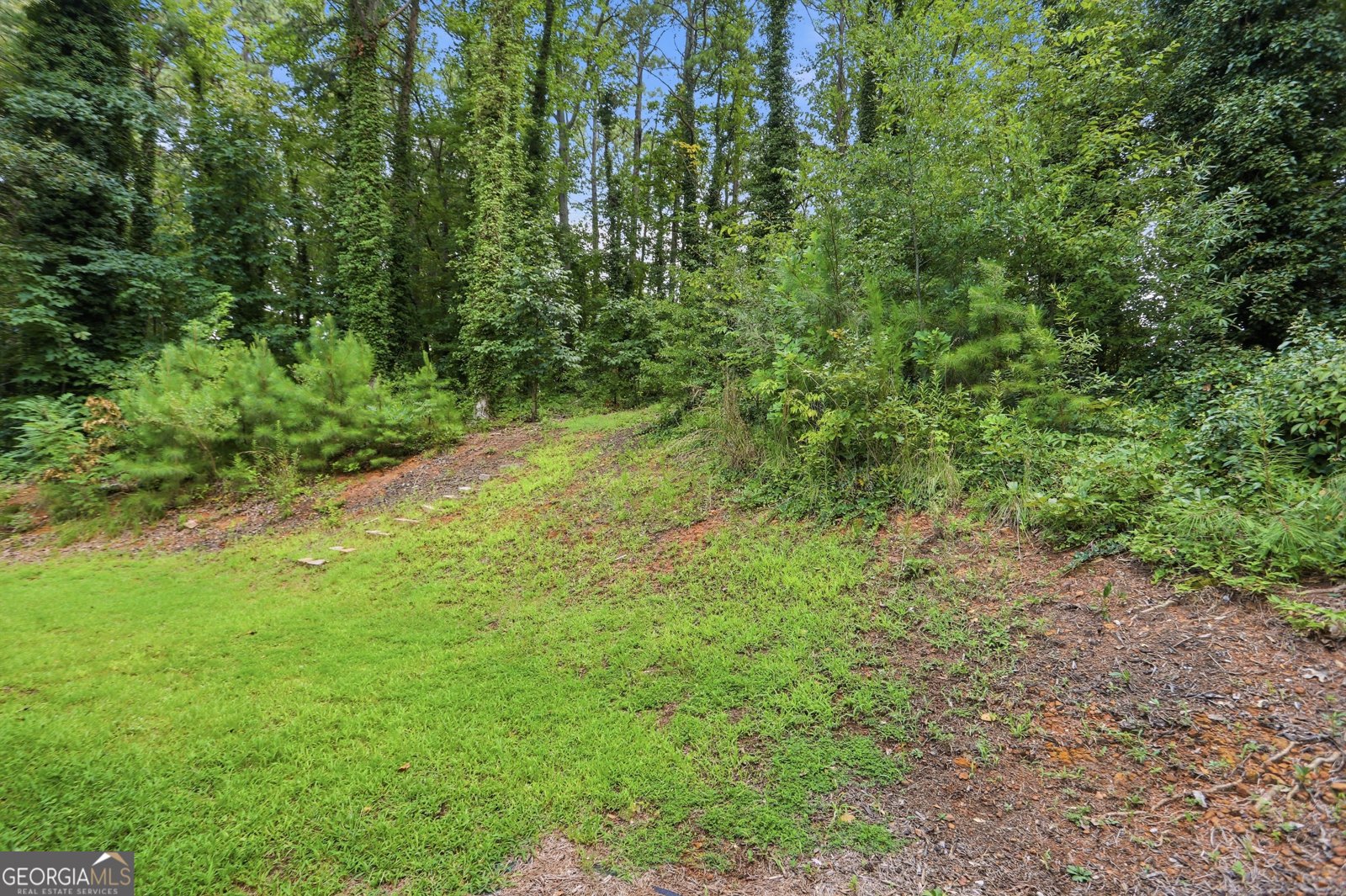 124 Creekview Drive Woodstock - Photo 30