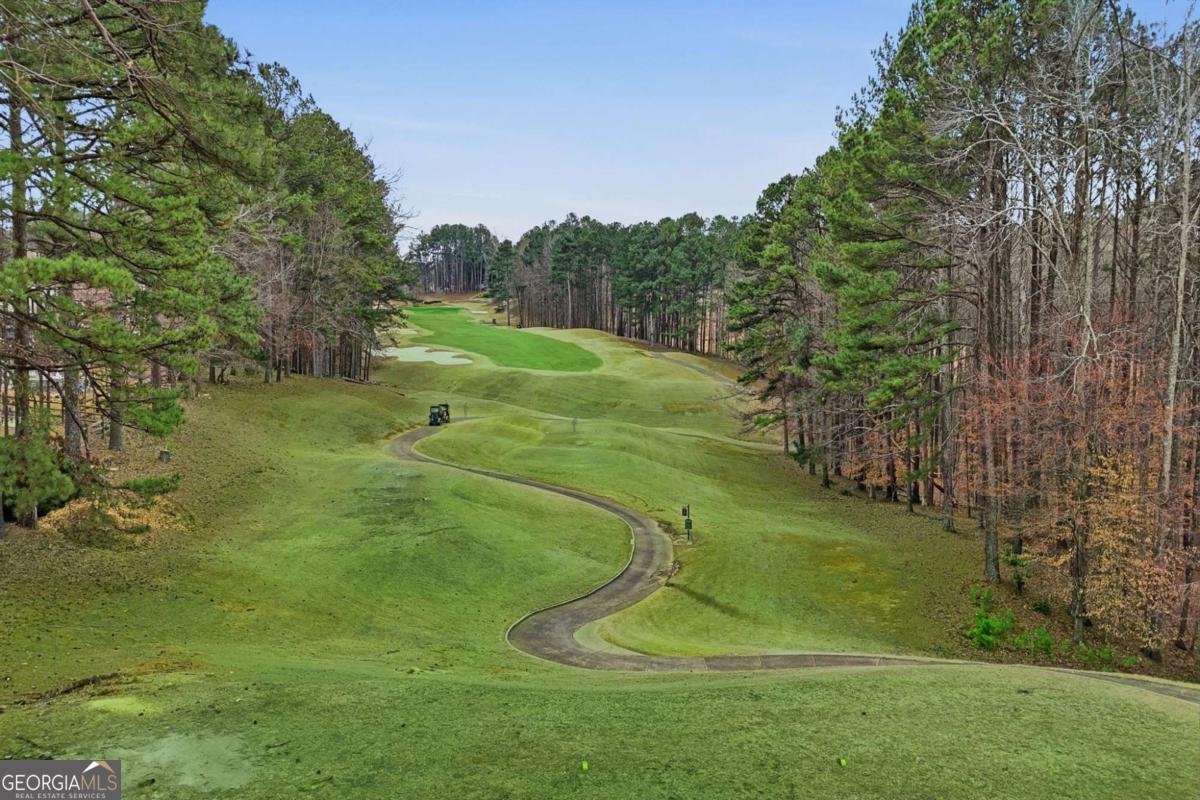 3219 Eagle Watch Drive Woodstock - Photo 82