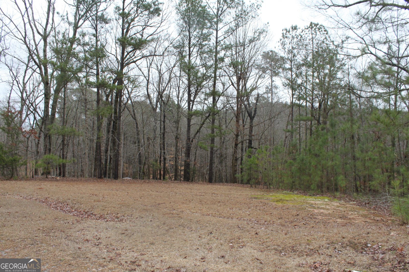 7895 Cove Rd Woodbury - Photo 35