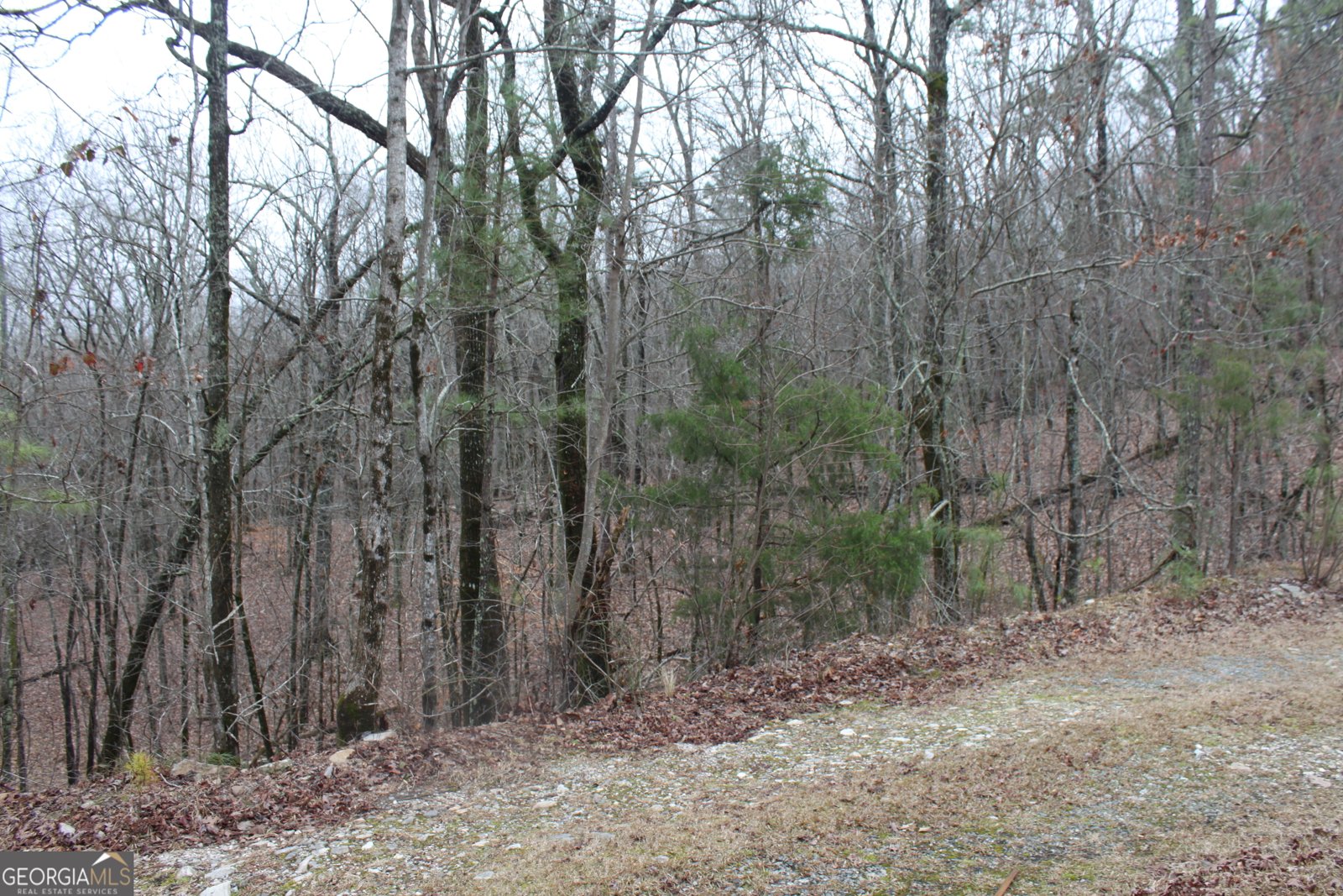 7895 Cove Rd Woodbury - Photo 37