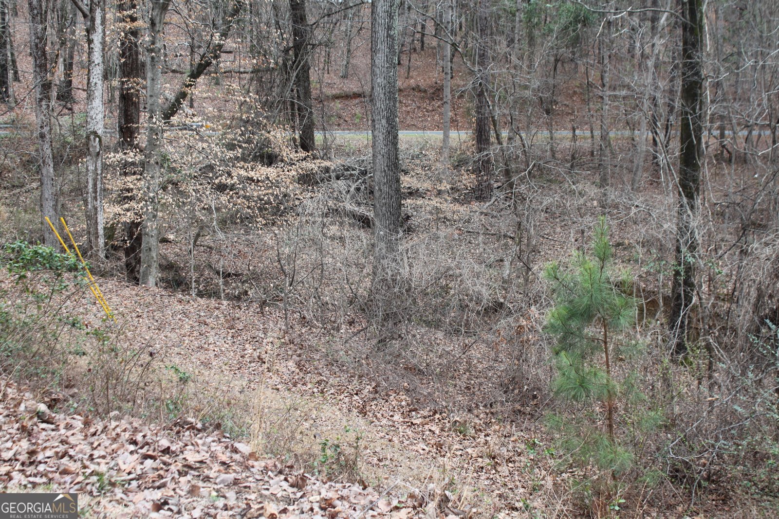 7895 Cove Rd Woodbury - Photo 39