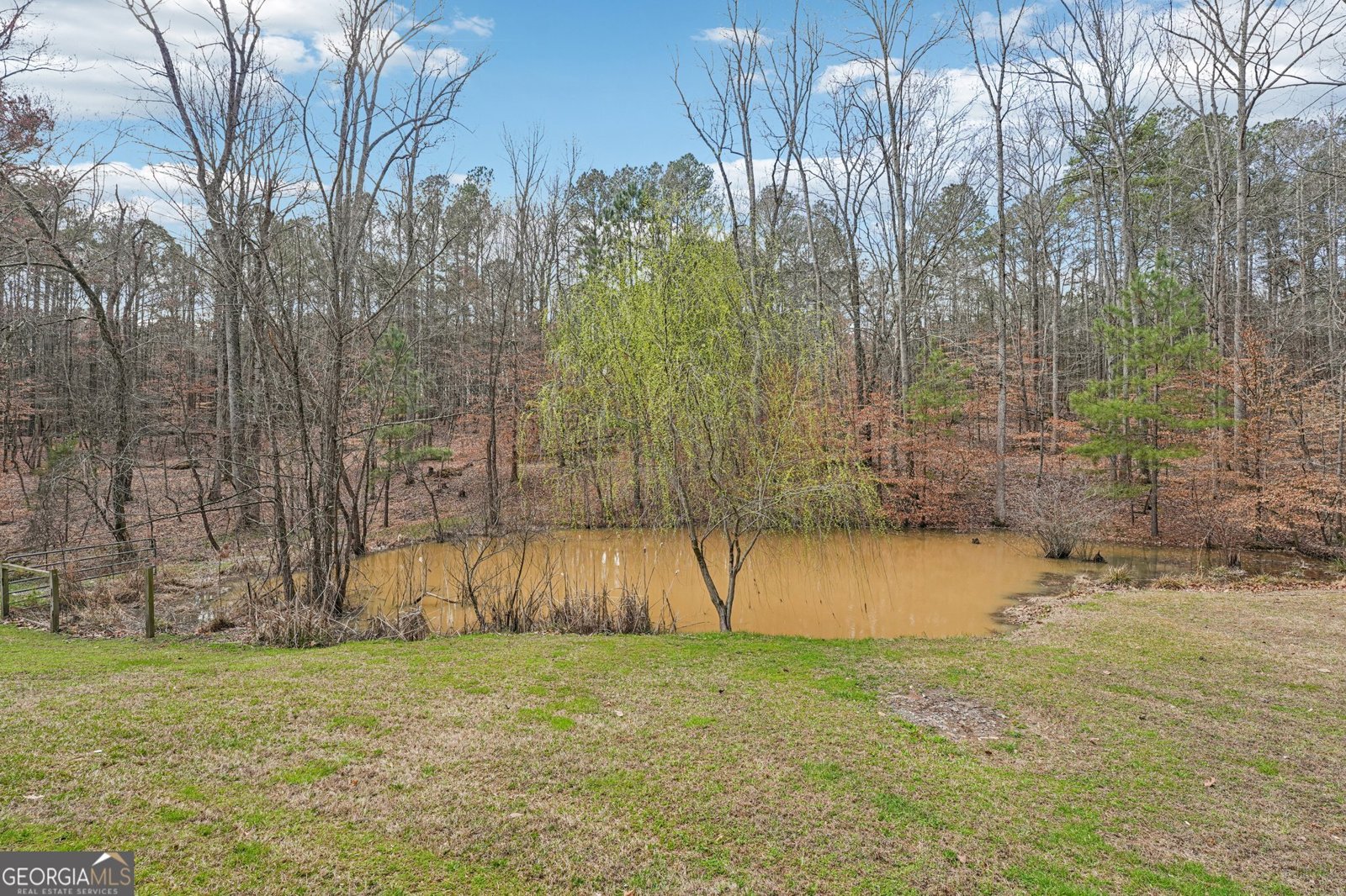 257 Shellhorse Road Ranger - Photo 31