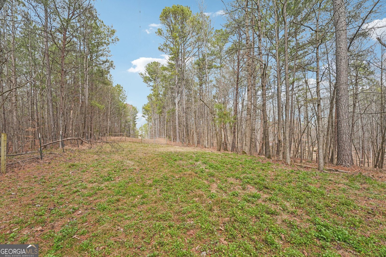 257 Shellhorse Road Ranger - Photo 35