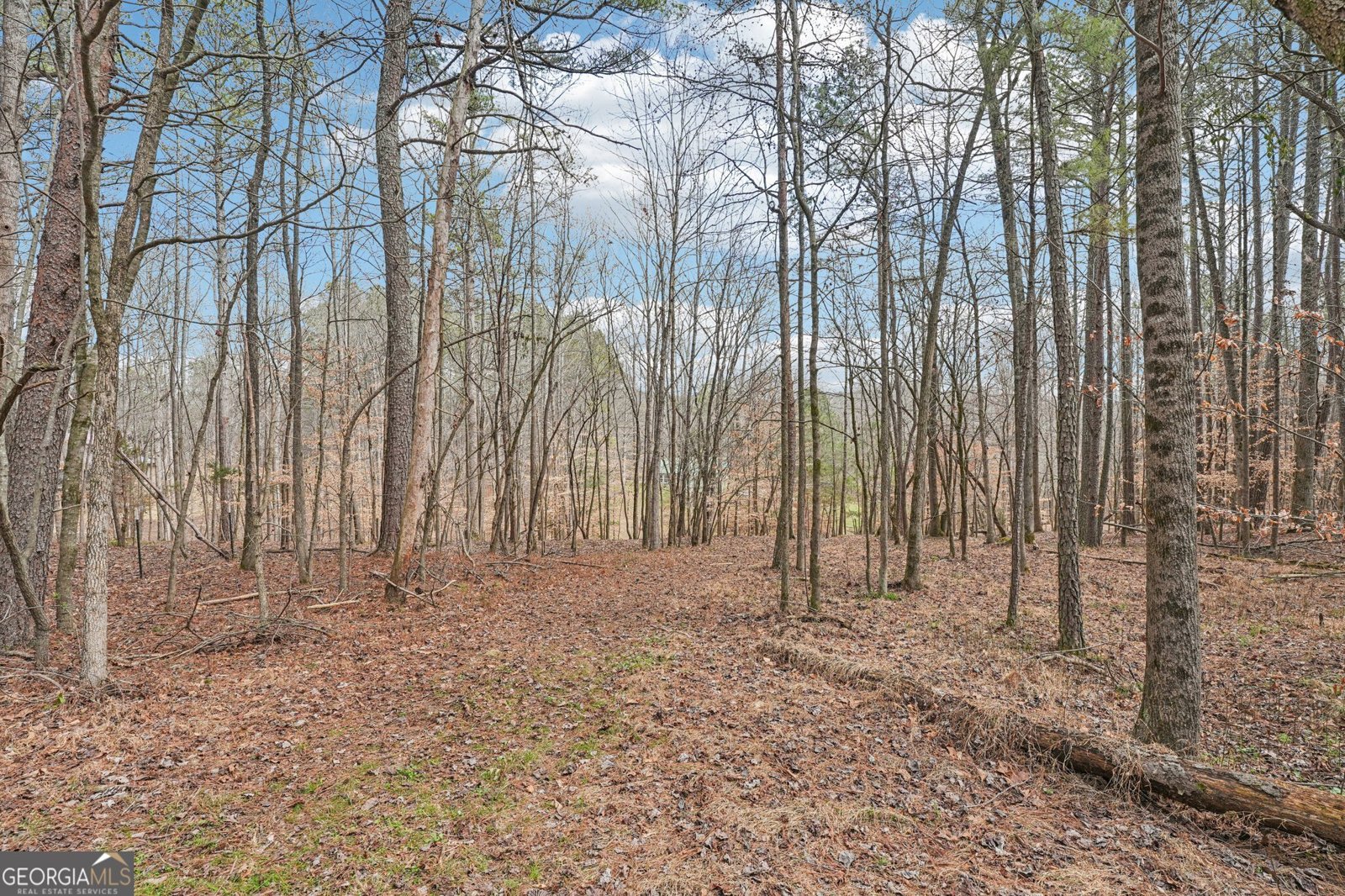 257 Shellhorse Road Ranger - Photo 36