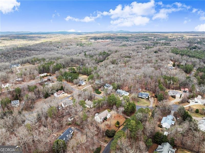 30 Windsor Drive Dawsonville - Photo 50