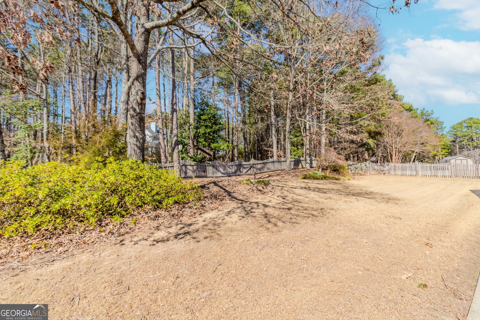 4338 Watley Place Hoschton - Photo 12